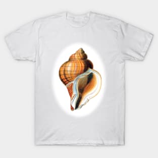 Snail house designer T-Shirt